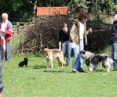 Ausflug im August 2010 der Gruppe Hansa - 26