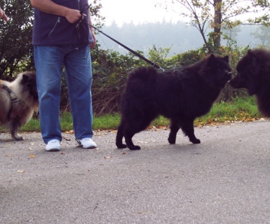 Herbstausflug 2011 mit Spitzen der Gruppe Hansa - 01