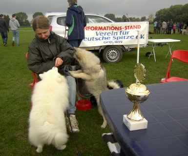 Hund sein in Kiel 2013 mit der Spitzgruppe Hansa 05