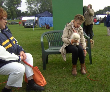 Hund sein in Kiel 2013 mit der Spitzgruppe Hansa 06