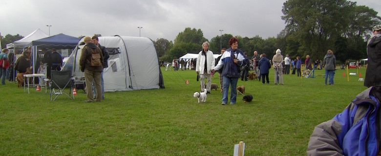 Hund sein in Kiel 2013 mit der Spitzgruppe Hansa 07