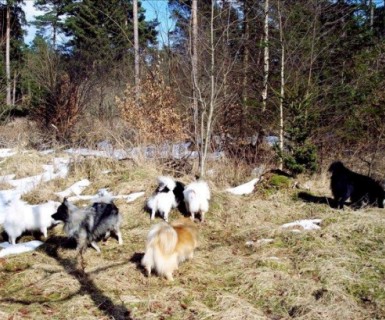 Treffen der Spitzgruppe Hansa im April 2013 - 07