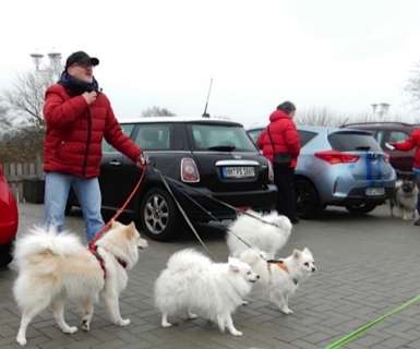 Spitztreffen Gruppe Hansa Februar 2016 - 03