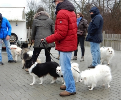 Spitztreffen Gruppe Hansa Februar 2016 - 12