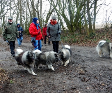 Spitztreffen Gruppe Hansa Februar 2016 - 16